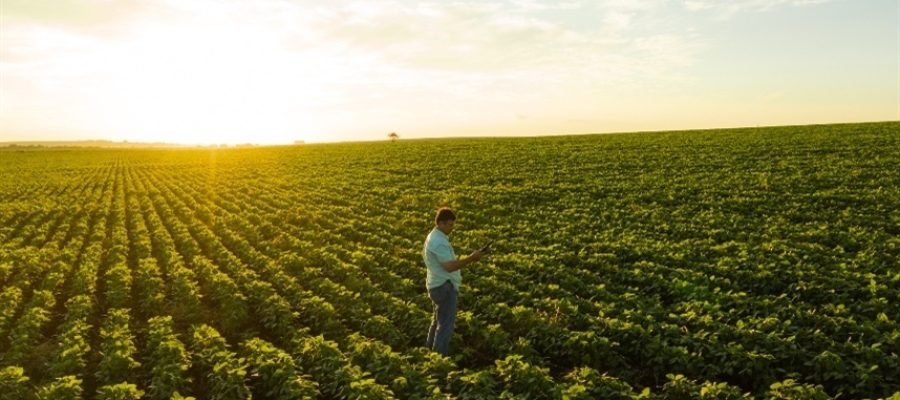 Especialista vê valor agregado como futuro do agro