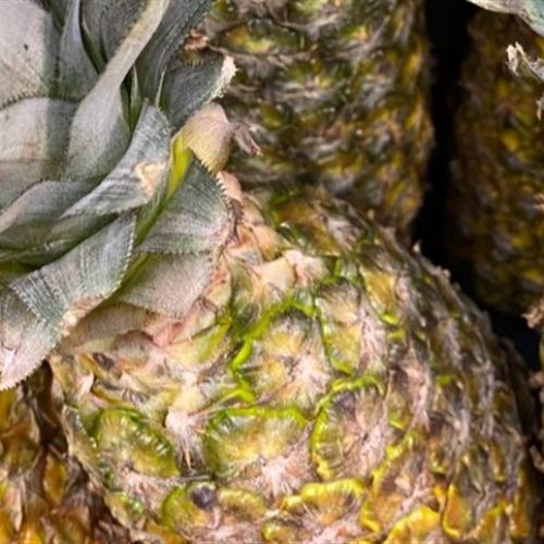 Compostos do abacaxi reduzem risco de doenças cardíacas