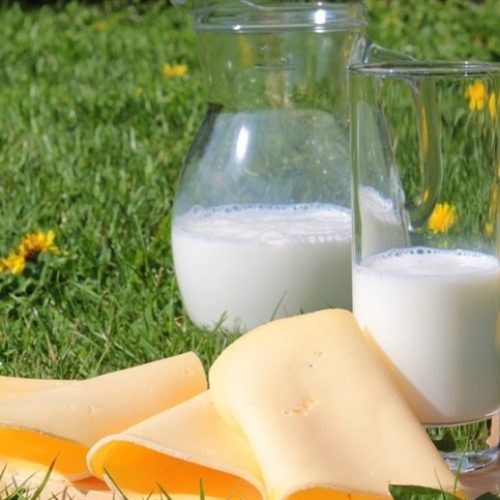 Perspectivas para o mercado de leite em 2026