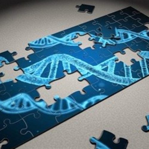 OGM chegam nos supermercados britânicos em 2026