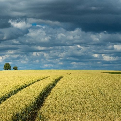 Brasil enfrenta extremos: tempestades no Sudeste e seca no Sul