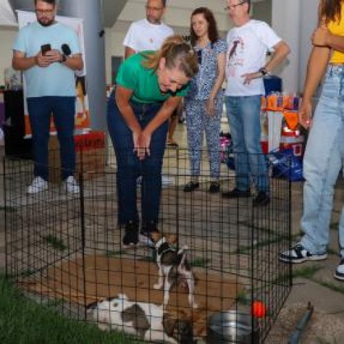 1,5 mil animais atendidos: Várzea Grande avança na política de proteção animal e prepara programa permanente de castração e microchipagem