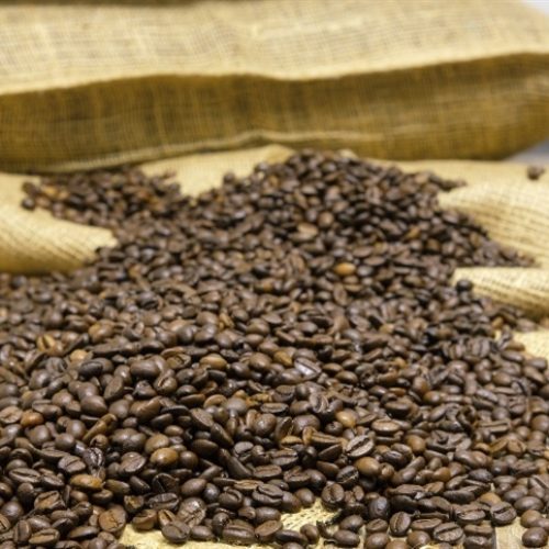 Café, boi e soja: como o mercado internacional influencia o preço no Brasil