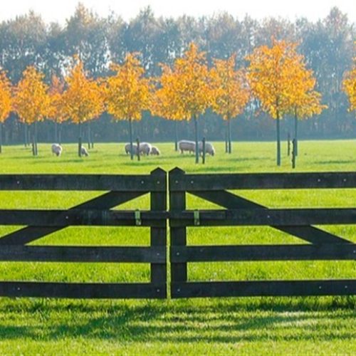 Setor pede mais subvenção ao seguro rural frente aos riscos