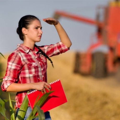 Nova fase dos preços agrícolas chama atenção