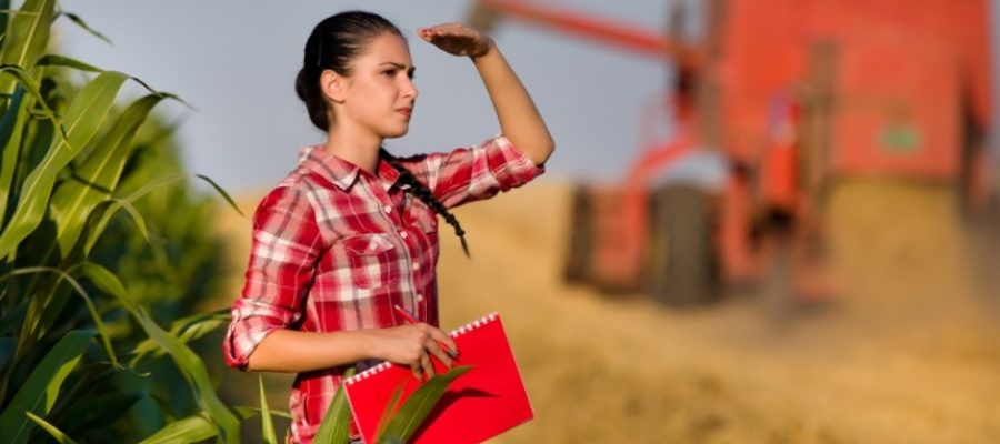Um detalhe no cadastro pode travar seu crédito rural