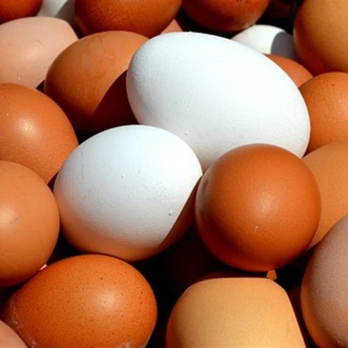 Envio irregular de ovos dos EUA é barrado no Brasil