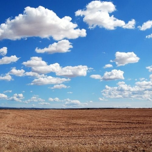 Comissão aprova criação de programa de segurança no campo