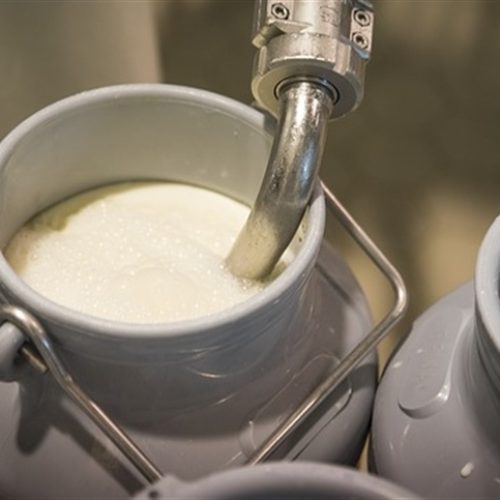 Setor leiteiro do Sul pede socorro diante de importações e superoferta