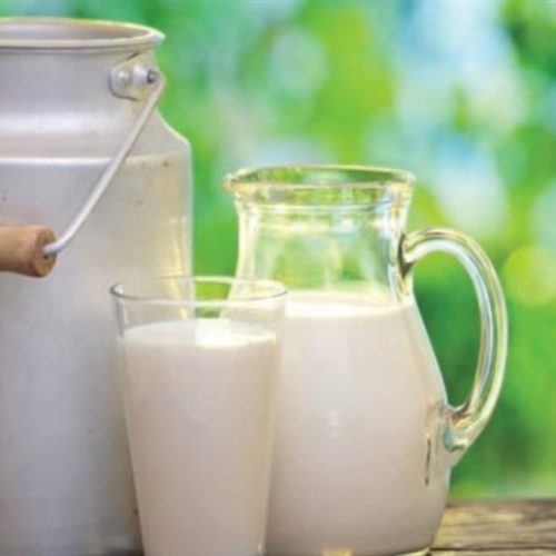 Preço do leite cai pelo terceiro mês em Mato Grosso