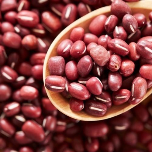 Demanda firme sustenta estratégia e planejamento no feijão