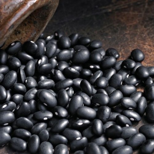 Preços do feijão oscilam e assustam produtores