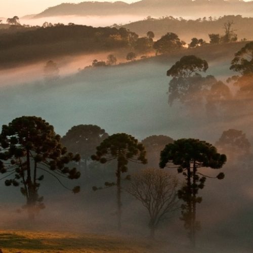 Inverno de 2025: frio tímido e calor antecipado