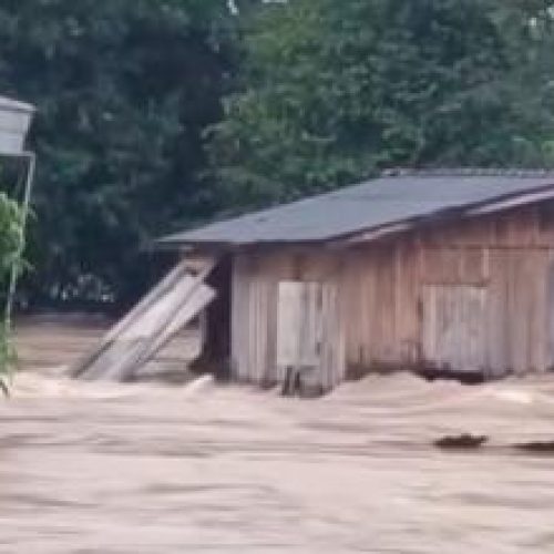 FAMÍLIAS DESABRIGADAS: Enchente derruba ponte e arrasta casa de madeira no interior