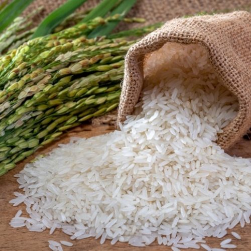 Arroz 2025/26 quase plantado no RS, porém preços não reagem
