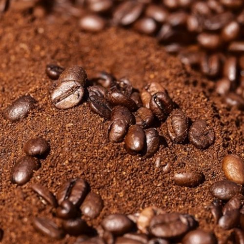 Exportações de café do Brasil caem 18%, mas receita sobe com preços mais altos