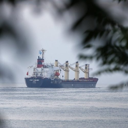 Importar defensivos dos EUA pode virar um problema