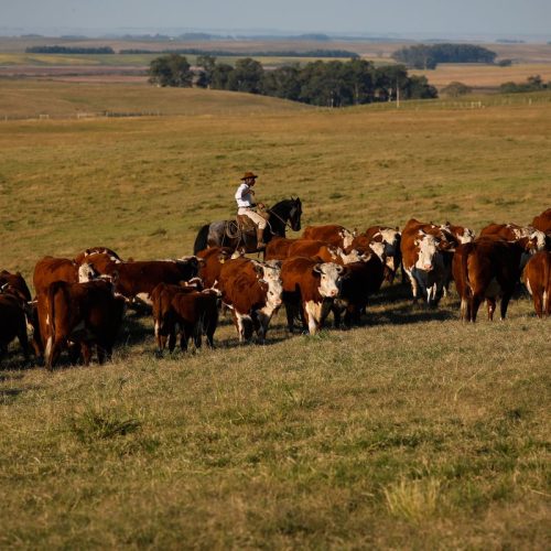 PIB cresce 1,4% no primeiro trimestre de 2025