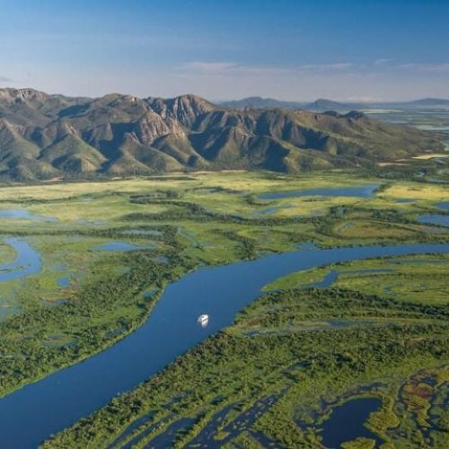 Projeto de Lei sobre o Pantanal de Mato Grosso gera debate sobre a proteção do biom