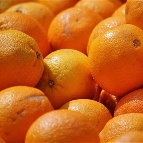 Controle do greening e bioestimulação ganham destaque