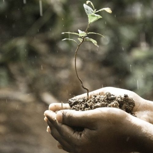 Saiba os impactos do La Niña na safra 2025/26