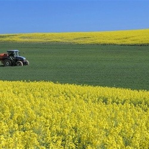 Prazo do georreferenciamento de imóveis rurais é estendido para 2030