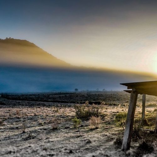 Governo abre crédito de R$ 12 bilhões para produtores rurais