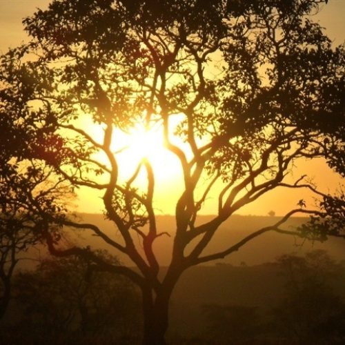 Clima: déficit hídrico ameaça lavouras em setembro e outubro