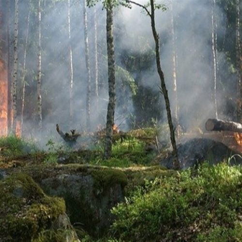 Produtores de MT unidos contra incêndios e estiagem