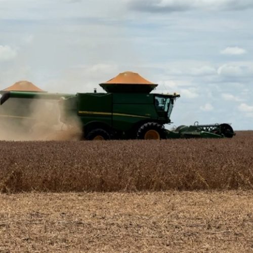 Empresário de Água Boa (MT) é acusado de não cumprir entrega de 95 mil sacas de soja