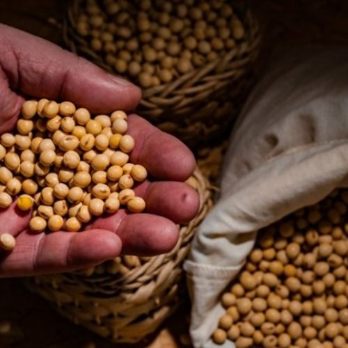 Análises apontam cenário mais negativo para a soja