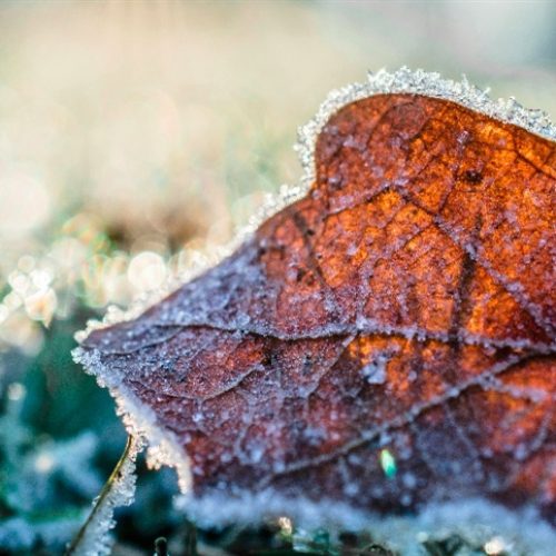 Frio avança pelo Brasil e temperaturas despencam