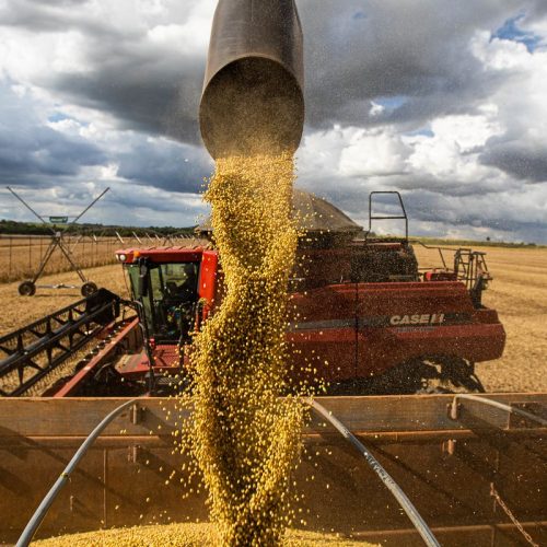 Queda no preço dos alimentos vai permanecer, diz ministro