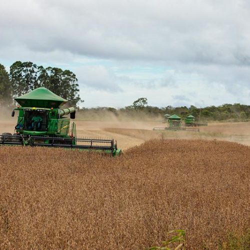 Mesmo com ajustes na safra, MT mantém liderança nacional com apoio de incentivos e crédito
