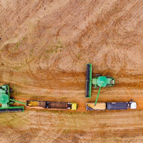 DESENVOLVIMENTO INDUSTRIAL: Sefaz define regras e limite para incentivo fiscal à soja a granel em 2026