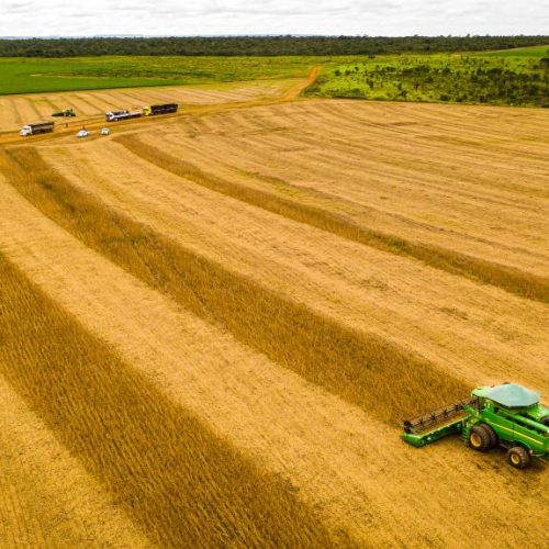 Mato Grosso consolida safra 25/26 com produção recorde e mantém liderança na soja há 26 safras