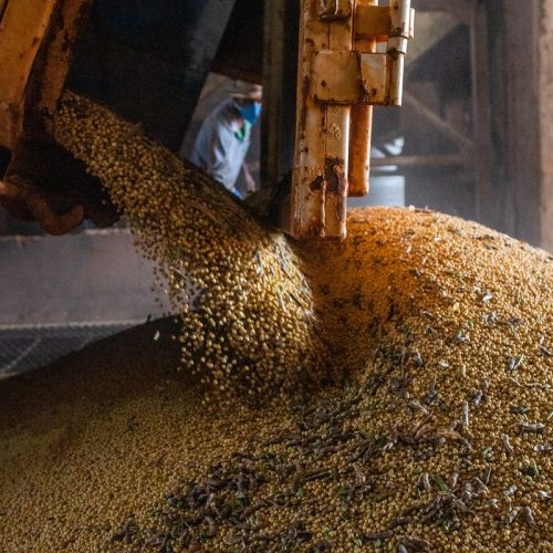 PIB atinge patamar recorde pelo 14º trimestre seguido