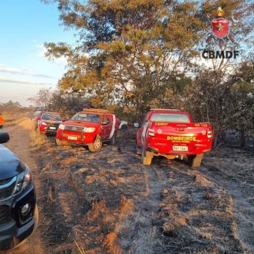 Luto no IBGE: Servidores morrem carbonizados combatendo fogo