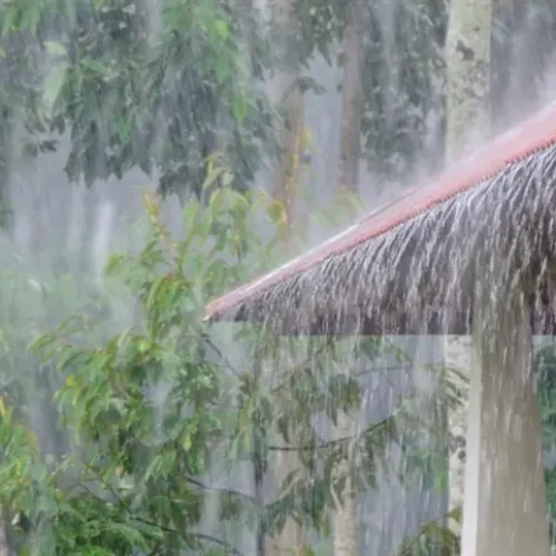Baixa pressão provoca chuva no feriado de Finados