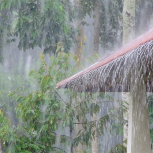 Irregularidade das chuvas põe safra em alerta