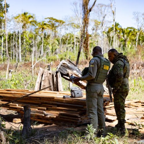 COMBATE AO DESMATAMENTO ILEGAL: Sema deflagra 127 operações contra crimes ambientais e aplica R$ 1,3 bilhão em multas no primeiro semestre de 2025