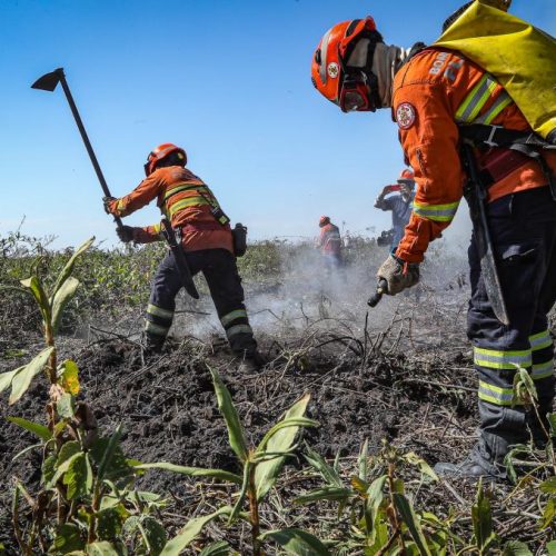 Bombeiros extinguem 4 incêndios florestais e combatem outros 5 neste sábado (2)