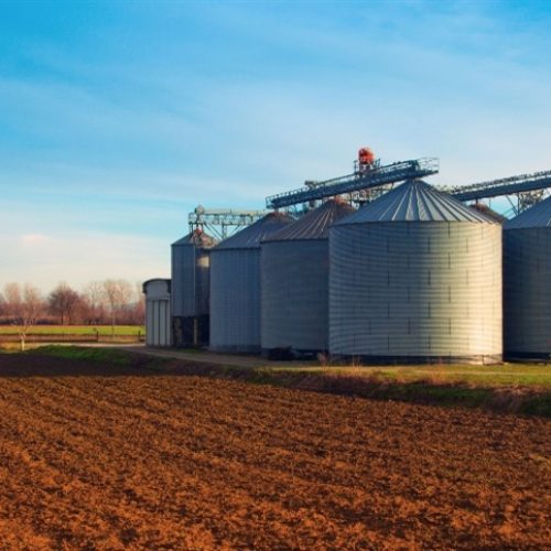 PROGRAMA GRÃO SEGURO: falta armazenagem no Brasil, mas o problema é ainda maior