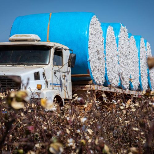 BALANÇO ECONÔMICO: Mato Grosso lidera a balança comercial brasileira em 2025