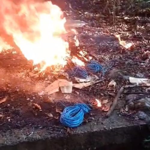 Guarda Civil flagra homem queimando fios em área de mata no bairro Cidade Nova