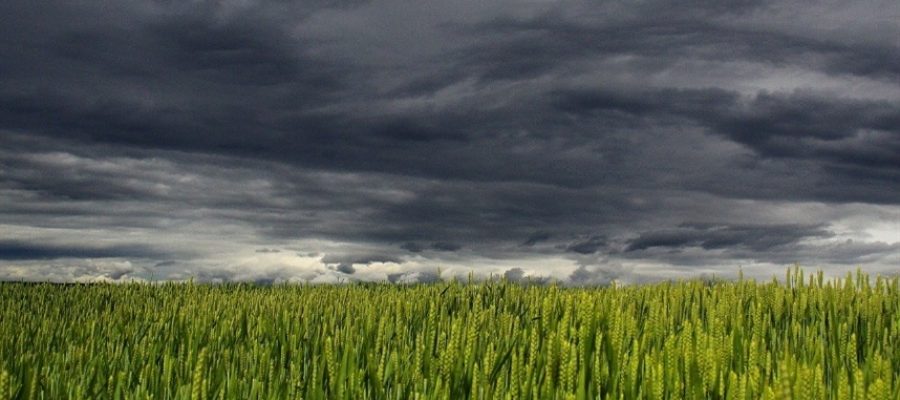 Frio perde intensidade no Centro-Sul e chuva persiste no Norte e Nordeste