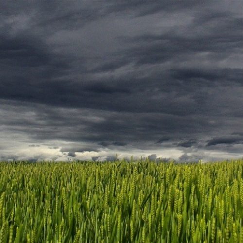 Fevereiro começa chuvoso e clima muda no Carnaval