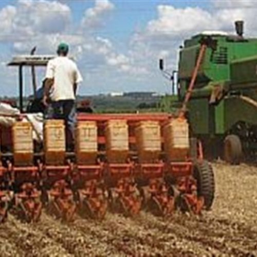 Produção menor exige compra antecipada de sementes