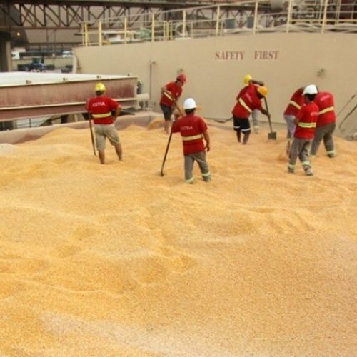 Integração produtiva ganha peso no agronegócio global