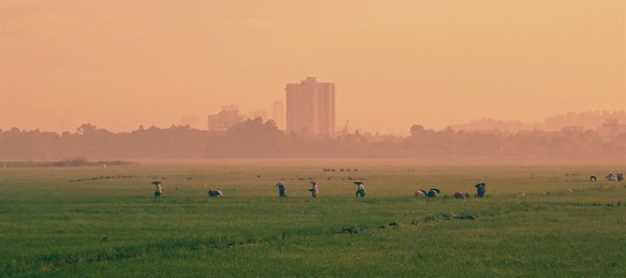 Agricultura familiar recebe R$ 97,3 bilhões, mas desafio é transformar crédito em comida mais barata